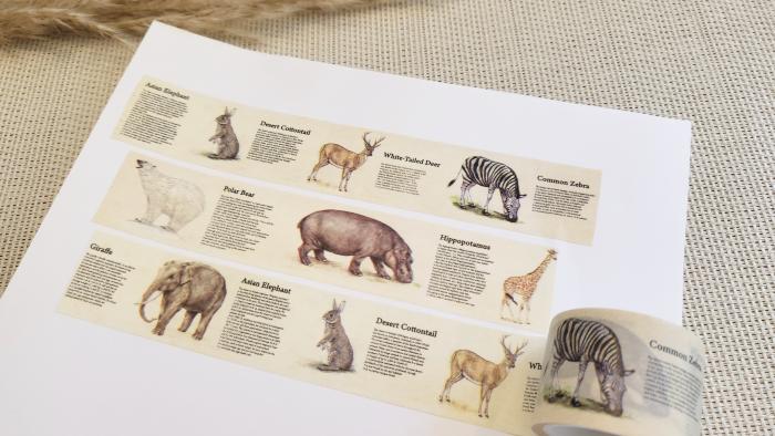 Design Washi Tape Encyclopaedia
